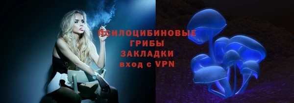 стаф Белокуриха
