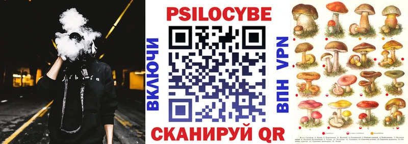 сколько стоит  Малоярославец  Псилоцибиновые грибы прущие грибы 